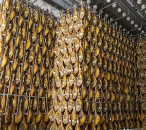 Gam Family crece, se abre a una estrategia más omnicanal y aprueba un presupuesto histórico