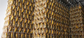 Gam Family crece, se abre a una estrategia más omnicanal y aprueba un presupuesto histórico