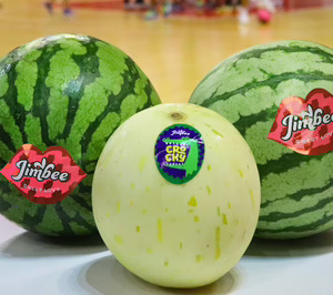 Jimbofresh supera la barrera de los 100 M€ y ejecuta grandes inversiones en maquinaria y almacén