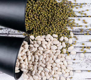 El sector de legumbres apuntala su supply chain: inversiones millonarias en robótica, software y metros cuadrados