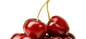 AC Valle del Jerte prevé comercializar un 15% más de cereza