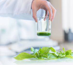 Groupe Rocher y Dassault Systèmes colaboran en formulación cosmética con gemelos virtuales