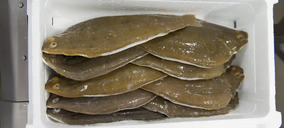 Sea Eight y el Gobierno Vasco presentan el macroproyecto de acuicultura Aquacria Bordas, con una inversión de 170 M€