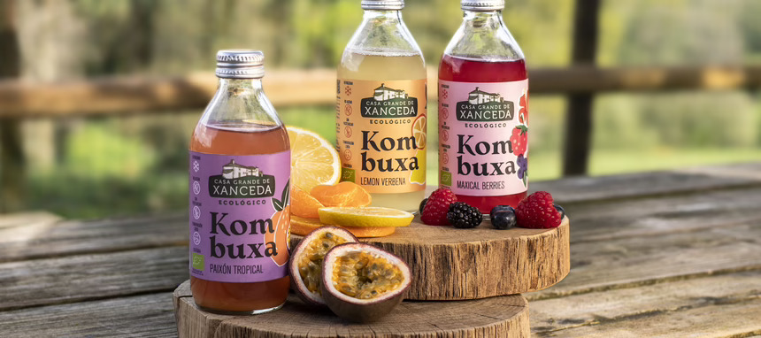 Casa Grande de Xanceda invierte en una planta para elaborar kombucha