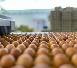Huevos Guillén apunta a los 400 M € y detalla todas sus inversiones hasta 2029