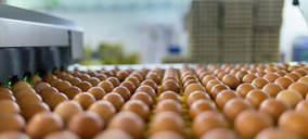 Huevos Guillén apunta a los 400 M € y detalla todas sus inversiones hasta 2029