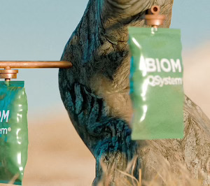 BIOM, biotecnología para enfrentar la Xylella, el enemigo público número uno del olivar en Europa