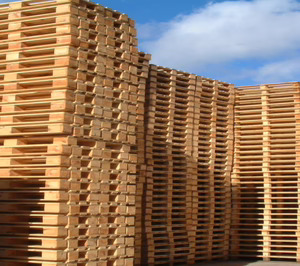 Pallet Tama, ante un año de cambios en el accionariado e inversiones