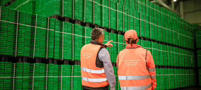 Logifruit crece un 7% a la espera de la formalización de su compra por parte de Mercadona