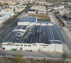 Agotzaina supera la barrera de los 1.000 M€ y vuelve a comprar en el mercado avícola de puesta