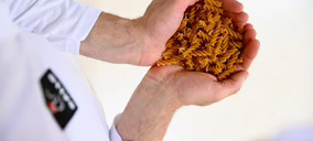 Gallo incrementa su negocio en el nicho de pastas sin gluten
