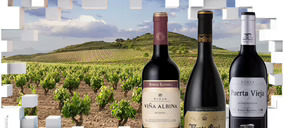 Vintae alcanza un acuerdo con la banca y se convertirá en el socio mayoritario de Bodegas Riojanas