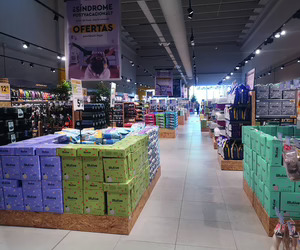 Informe 2026 del sector de Distribución de Petfood en España