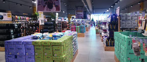 Informe 2026 del sector de Distribución de Petfood en España