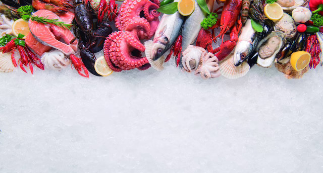 Informe 2026 del sector de Pescado y Marisco Congelado