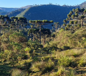 Tetra Pak actualiza su Plan de protección de la naturaleza