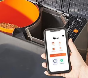 Kibus Petcare cesa actividad por falta de financiación para poder crecer