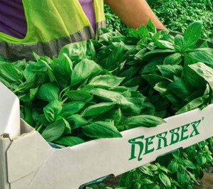 Herbex cumple objetivos y eleva el beneficio tras su reestructuración
