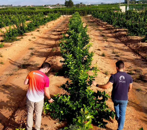 Biorizon Biotech y Weitec sellan una alianza para revolucionar la lucha integrada en el cultivo de cítricos