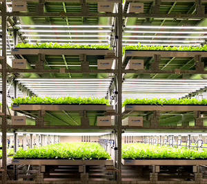 Uriach apuesta por la agricultura vertical para obtener las plantas que utiliza como ingrediente
