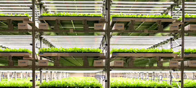 Uriach apuesta por la agricultura vertical para obtener las plantas que utiliza como ingrediente