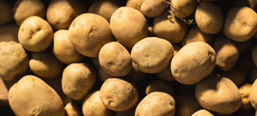 La nueva planta de patata de siembra de Udapa estará operativa el próximo otoño