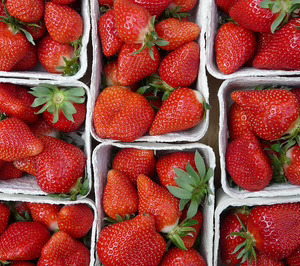 Foodimental, del éxito de Everfresh a los bioconservantes para el mercado cárnico