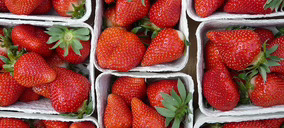 Foodimental, del éxito de Everfresh a los bioconservantes para el mercado cárnico