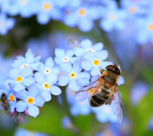 El sector de los insecticidas domésticos en España se abre a nuevos destinos