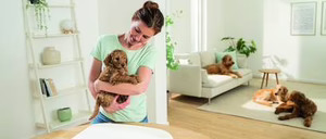 Informe 2026 de Pequeño Aparato Electrodoméstico Pet Care