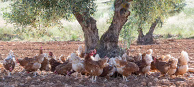 Huevos Guillén logra el respaldo de Cex Capital para su proyecto campero en Extremadura