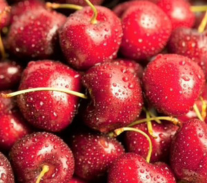 Frutas AZ bate récord de facturación y gana presencia en el exterior