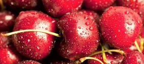 Frutas AZ bate récord de facturación y gana presencia en el exterior