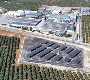 Agrosevilla roza los 200 M€ en 2025 y consolida sus exportaciones, que ya alcanzan el 90%