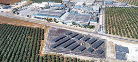 Agrosevilla roza los 200 M€ en 2025 y consolida sus exportaciones, que ya alcanzan el 90%