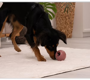Fackelmann entra en la categoría pet food con una línea para mascotas