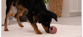 Fackelmann entra en la categoría pet food con una línea para mascotas