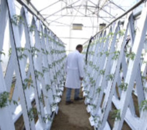 Cajamar Innova selecciona 22 empresas para acelerar tecnologías en agua, agrotech y foodtech