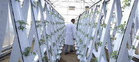Cajamar Innova selecciona 22 empresas para acelerar tecnologías en agua, agrotech y foodtech