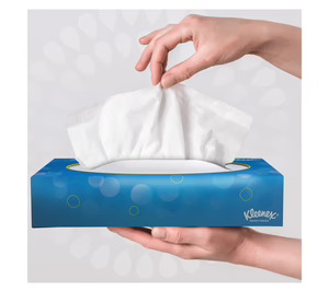 Arbex, la joint venture de Kimberly-Clark y Suzano, inicia operaciones de forma independiente