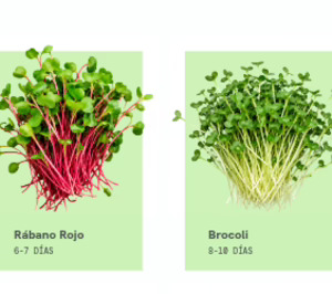 Tierra Agrotech Farms cierra ronda para impulsar su tecnología de cultivo urbano en condiciones controladas