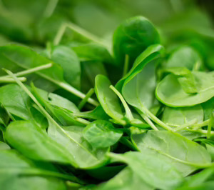 La Línea Verde da el salto a Norteamérica y ultima la apertura de su primera fábrica fuera de Europa
