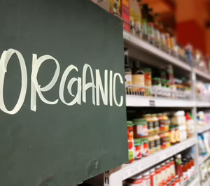 Preguntas que buscan solución al futuro de la alimentación ecológica en España