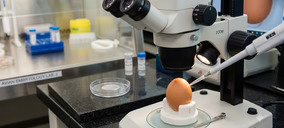 El mercado de huevos avanza en I+D+i como apuesta de futuro