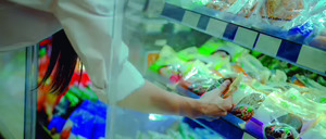 Informe 2026 del sector de Distribución de Congelados en España