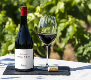 Bodegas Raíces Ibéricas engrosa la familia Las Pizarras con un nuevo vino de pueblo