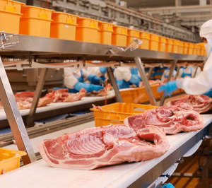 Grupo JISAP supera los 600 M€ en ventas y refuerza su inversión