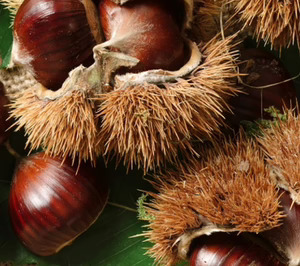El proyecto de Cool Nature crece con la compra de ANRO Productos del Campo
