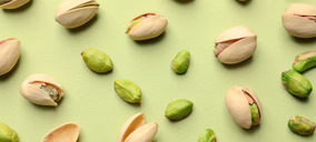 La industria del pistacho se prepara con grandes inversiones para apuntalar su crecimiento y valorizar las producciones