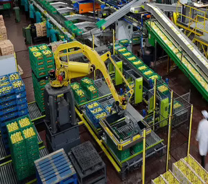 Tana crece a doble dígito y realiza fuertes inversiones para ganar eficiencia